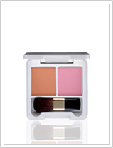 ブラッシングパウダー・アクセントカラー